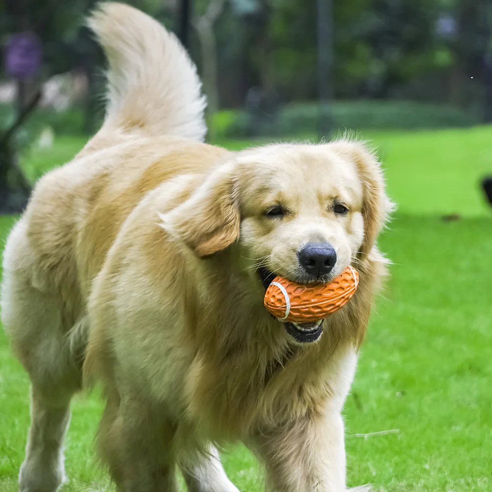 Durable Dog Toy for Boredom Relief and Playtime