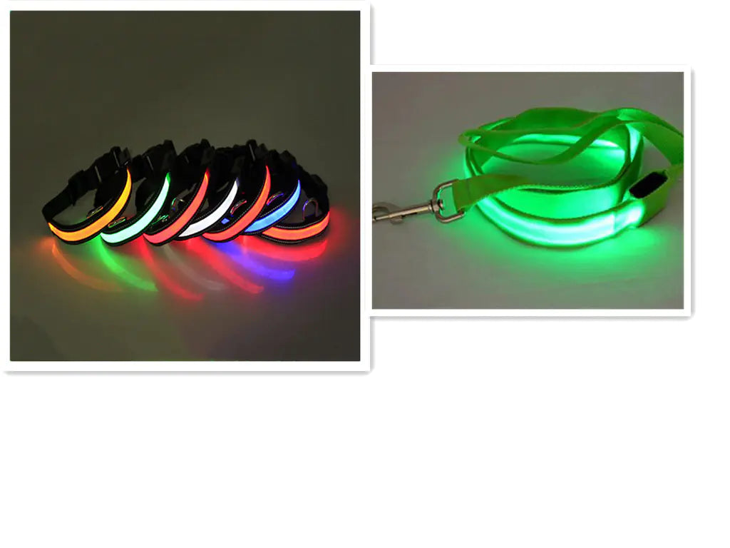 LED Dog Leash with Fluorescent Dog Collar