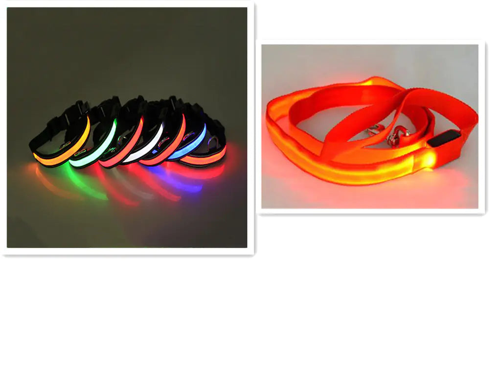 LED Dog Leash with Fluorescent Dog Collar
